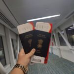  Zopalno number flight